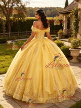 Yellow Tulle Off the Shoulder Appliques Quinceanera Dress