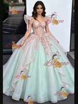 Green Tulle Long Sleeve Appliques Quinceanera Dress