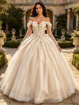 Champagne Tulle Long Sleeve Appliques Quinceanera Dress