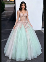 Sequins Long Sleeve Appliques Quinceanera Dress