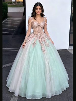 Sequins Long Sleeve Appliques Quinceanera Dress