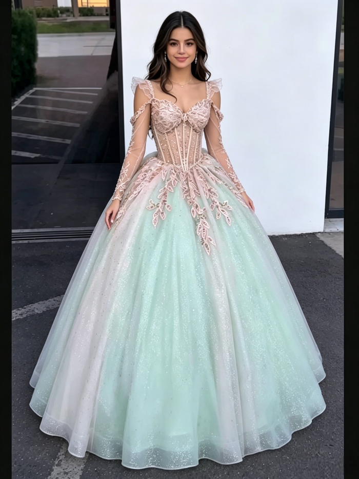 Sequins Long Sleeve Appliques Quinceanera Dress