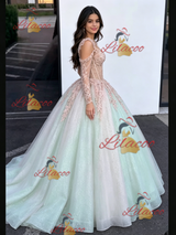 Sequins Long Sleeve Appliques Quinceanera Dress