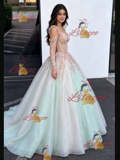 Sequins Long Sleeve Appliques Quinceanera Dress