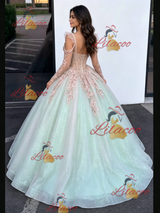 Sequins Long Sleeve Appliques Quinceanera Dress
