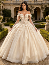 Champagne Tulle Long Sleeve Appliques Quinceanera Dress