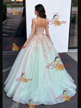 Sequins Long Sleeve Appliques Quinceanera Dress