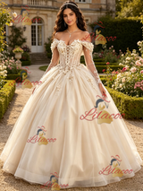 Champagne Tulle Long Sleeve Appliques Quinceanera Dress