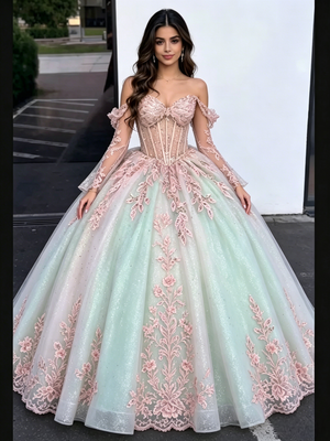 Tulle Appliques Long Sleeve Quinceanera Dress