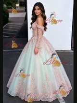 Tulle Appliques Long Sleeve Quinceanera Dress