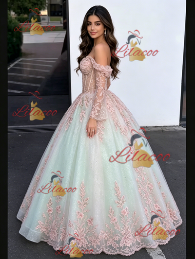 Tulle Appliques Long Sleeve Quinceanera Dress
