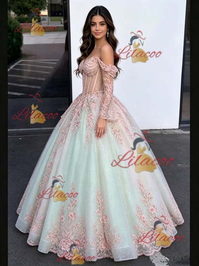 Tulle Appliques Long Sleeve Quinceanera Dress