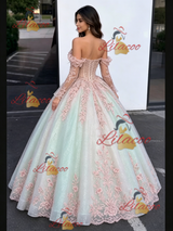 Tulle Appliques Long Sleeve Quinceanera Dress