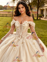 Champagne Tulle Long Sleeve Appliques Quinceanera Dress