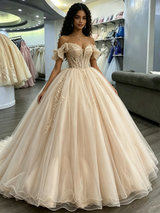 Champagne Tulle Off the Shoulder Appliques Quinceanera Dress