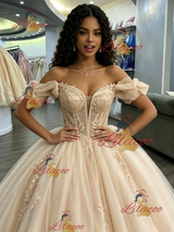 Champagne Tulle Off the Shoulder Appliques Quinceanera Dress
