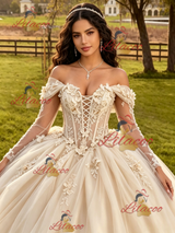 Champagne Tulle Long Sleeve Appliques Quinceanera Dress