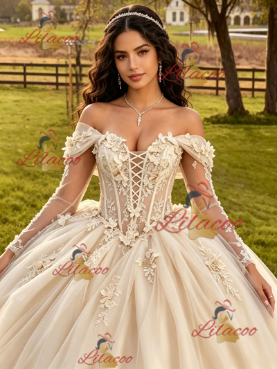 Champagne Tulle Long Sleeve Appliques Quinceanera Dress