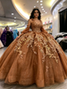 Brown Tulle Long Sleeve Appliques Quinceanera Dress
