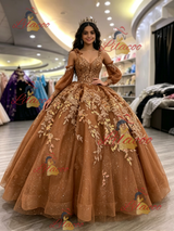 Brown Tulle Long Sleeve Appliques Quinceanera Dress