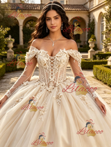 Champagne Tulle Long Sleeve Appliques Quinceanera Dress