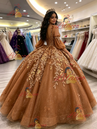 Brown Tulle Long Sleeve Appliques Quinceanera Dress