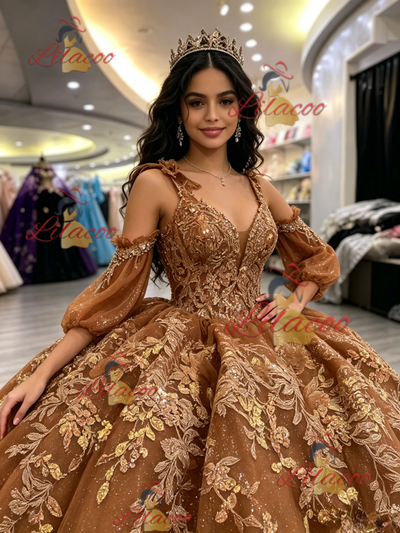 Brown Tulle Long Sleeve Appliques Quinceanera Dress