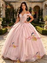 Pink Tulle Off the Shoulder Appliques Quinceanera Dress