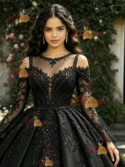 Black Tulle Long Sleeve Appliques Quinceanera Dress
