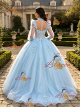 Light Blue Tulle Long Sleeve Appliques Quinceanera Dress