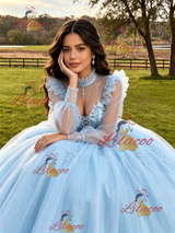 Light Blue Tulle Long Sleeve Appliques Quinceanera Dress