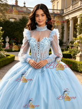 Light Blue Tulle Long Sleeve Appliques Quinceanera Dress