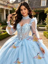 Light Blue Tulle Long Sleeve Appliques Quinceanera Dress
