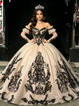 Champagne Tulle Appliques Long Sleeve Quinceanera Dress