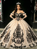 Champagne Tulle Appliques Long Sleeve Quinceanera Dress