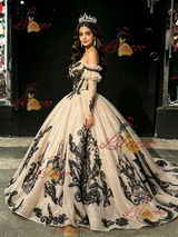 Champagne Tulle Appliques Long Sleeve Quinceanera Dress
