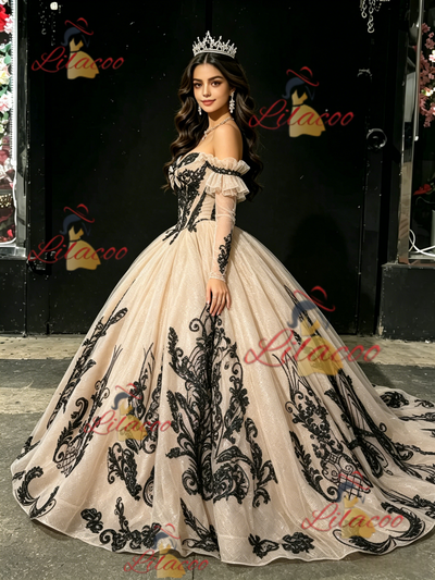 Champagne Tulle Appliques Long Sleeve Quinceanera Dress