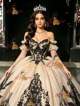 Champagne Tulle Appliques Long Sleeve Quinceanera Dress