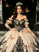 Champagne Tulle Appliques Long Sleeve Quinceanera Dress