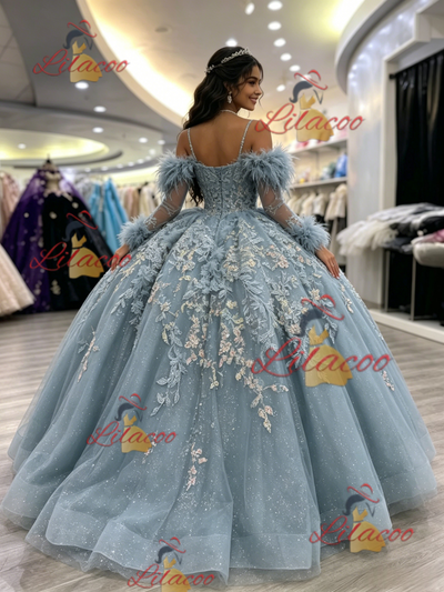 Blue Tulle Straps Long Sleeve Quinceanera Dress
