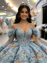 Blue Tulle Straps Long Sleeve Quinceanera Dress