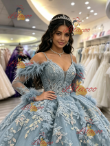 Blue Tulle Straps Long Sleeve Quinceanera Dress