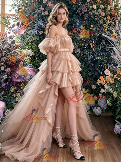 Champagne Tulle Hi Lo Prom Dress