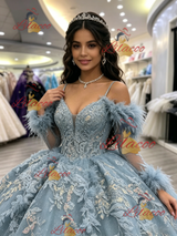 Blue Tulle Straps Long Sleeve Quinceanera Dress