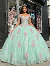 Green Tulle Straps Long Sleeve Quinceanera Dress