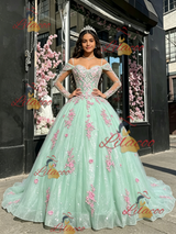 Green Tulle Straps Long Sleeve Quinceanera Dress