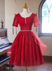Burgundy Tulle Sequins Homecoming Dress