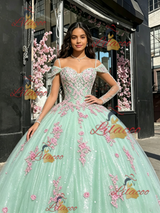 Green Tulle Straps Long Sleeve Quinceanera Dress