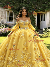 Yellow Tulle 3D Appliques Long Sleeve Quinceanera Dress