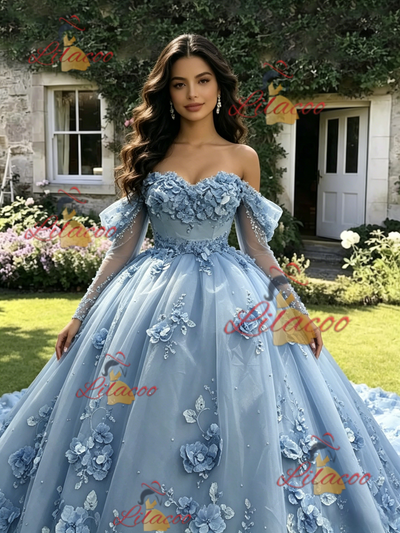 Blue Tulle 3D Appliques Long Sleeve Quinceanera Dress